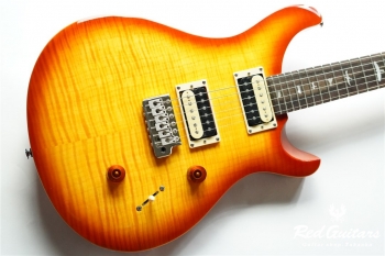  SE Custom 24 - VS